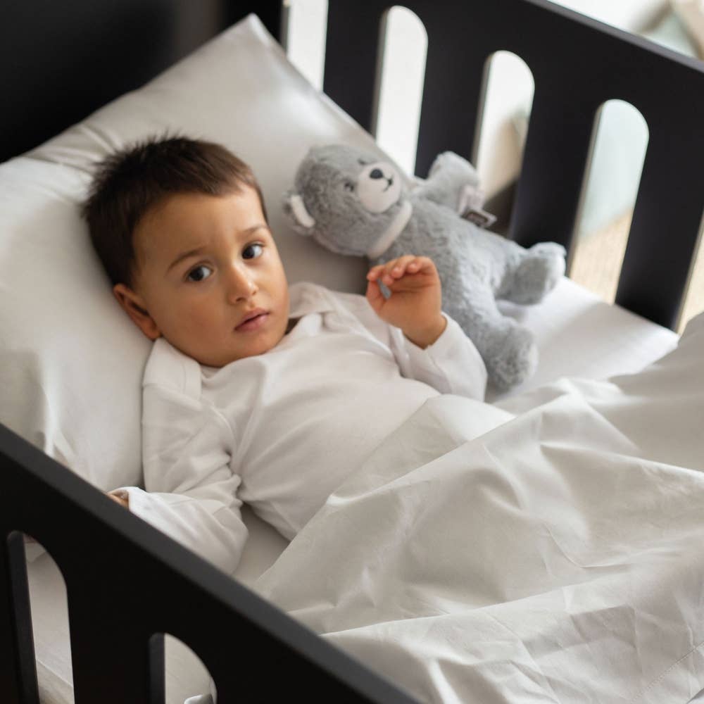 Peluche musicale Ours