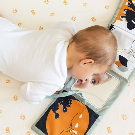 Livre d'éveil - Diplododo